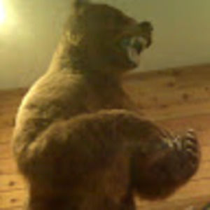 Meet your Posher, Thomas